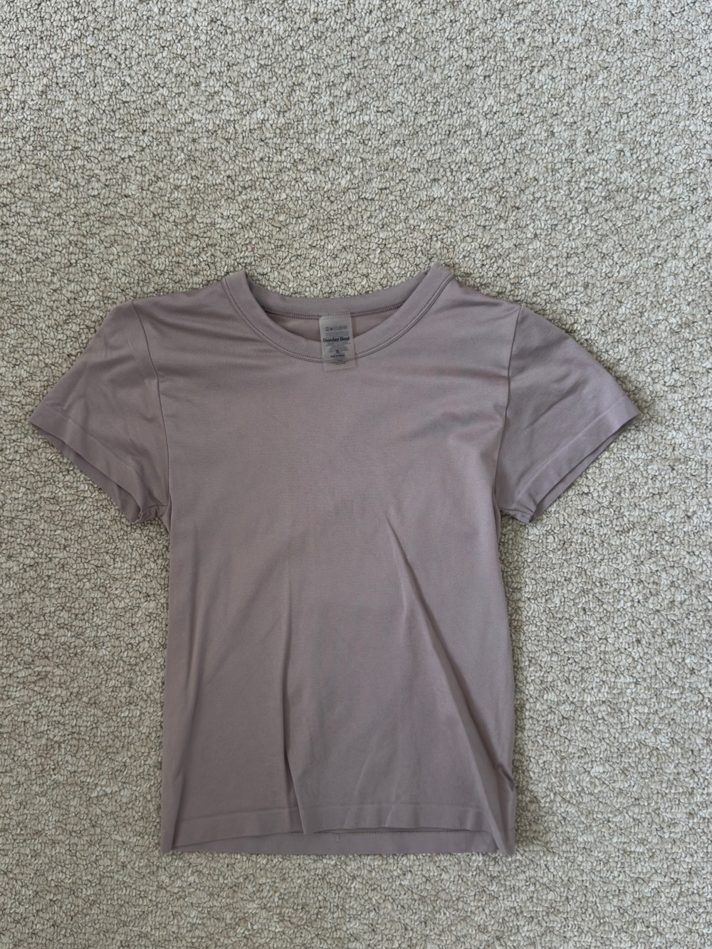 Aritzia Sunday Best T-Shirt